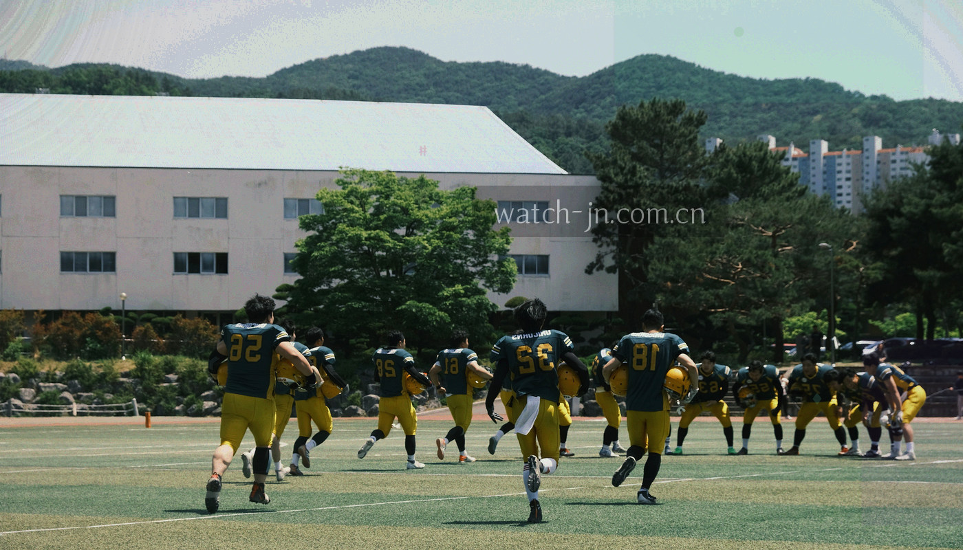 从低到高叠放的版本文件块与版本号标识